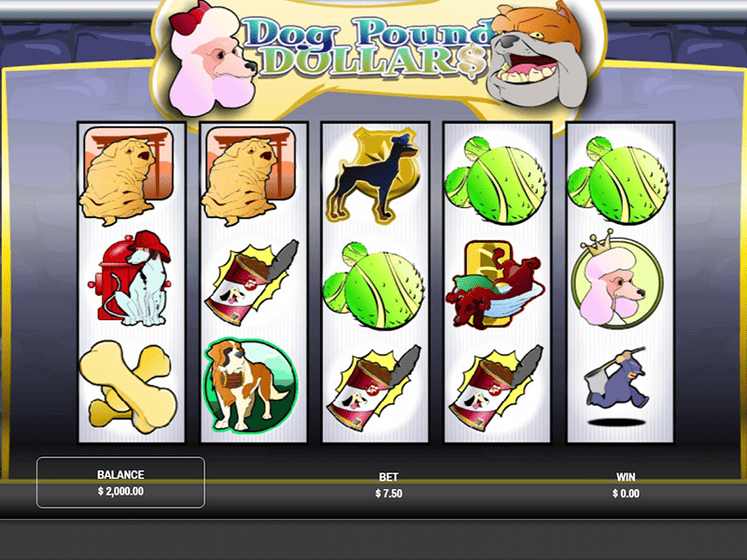 Dog Pound Dollars