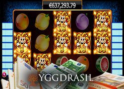 Jackpot de 3.5 millions euros decroche sur Joker Millions d Yggdrasil