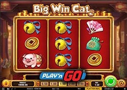 Machine a sous Big Win Cat de Play N Go enfin disponible