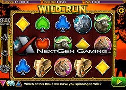 Nouvelle machine à sous Wild Run de NextGen