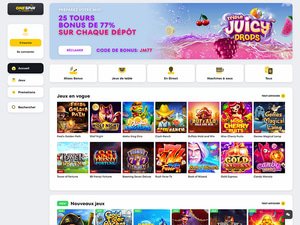 One Spin Casino website