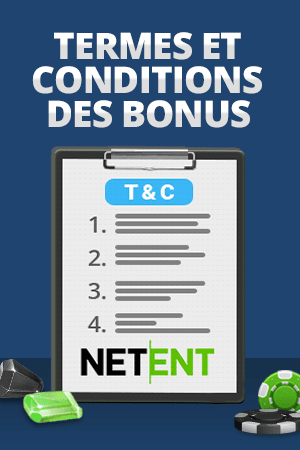 termes et conditions netent