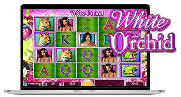 jeux machines a sous white orchid