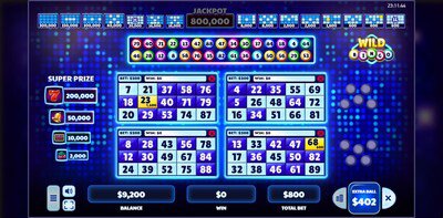 Wild Bingo