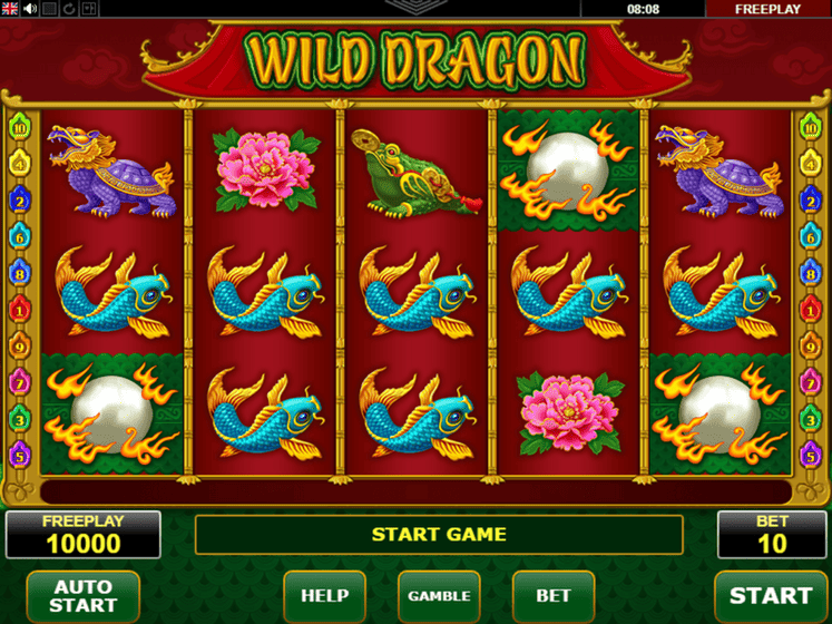 Wild Dragon