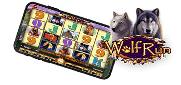 machines a sous wolf run mobile